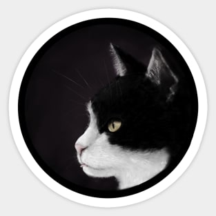 Kitty Portrait Sticker